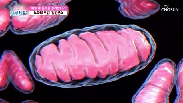 활성산소→ 몸속 공격해 노화·혈관질환 노출 #광고포함