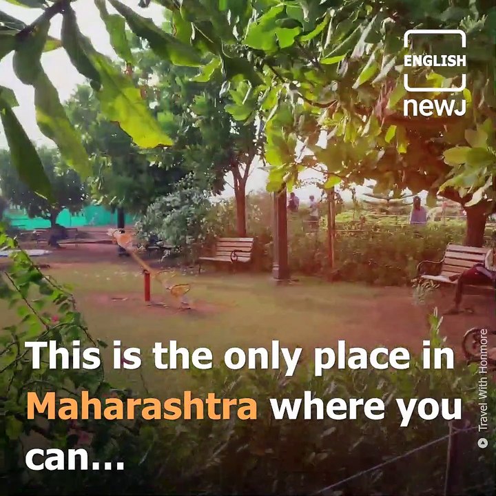 Picturesque Beaches, Serene Backwaters, Dolphin Spotting And Scuba Diving, Tarkarli Is A Hidden Gem Waiting To Be Explored