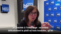 CIRCUITS COURTS : Le safran 100% Touraine