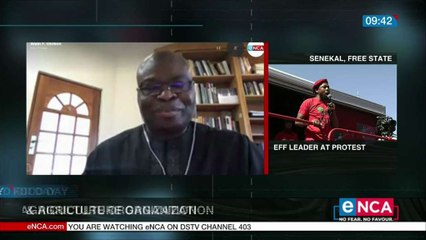 Celebrating World Food day