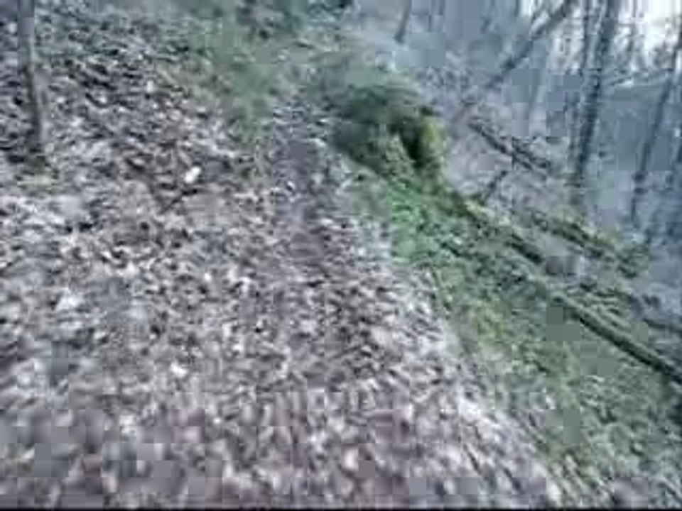 Descente chalais mtst mtin_