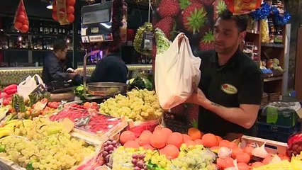 Hoy se celebra el Día Mundial de la Alimentación