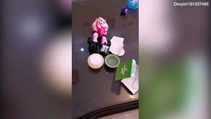 شاهد: كلب يمنع توبيخ الأم لطفلتها الصغيرة ويحصد ملايين المشاهدات