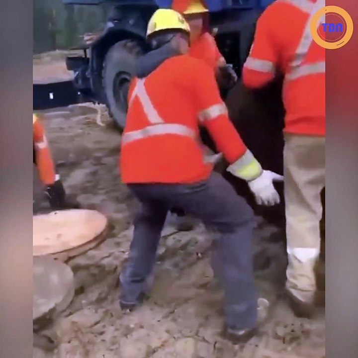 Voilà un ouvrier qui est partout et nulle part à la fois !