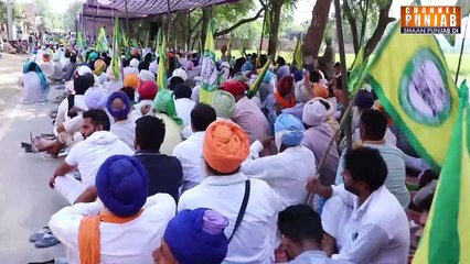 ਮੱਧ ਪ੍ਰਦੇਸ਼ ਦੀ ਪੁਲਿਸ ਨੇ ਪੰਜਾਬੀਆਂ ਨਾਲ ਪਾ ਲਿਆ ਪੇਚਾ,