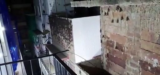 अब जगह बदलने लगी चमगादड़ें तो दहशत में पूरा मोहल्ला