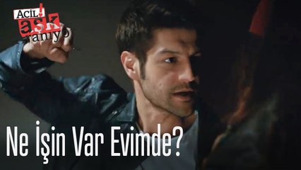 Ne işin var evimde?