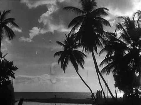 Au pays du vrai rhum