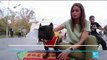 In Russia, Bulldog named Nord Boss shows off his impressive skateboarding skills