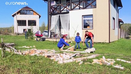 شاهد: ستة عقود من محاولات تحويل الثعالب إلى كلاب