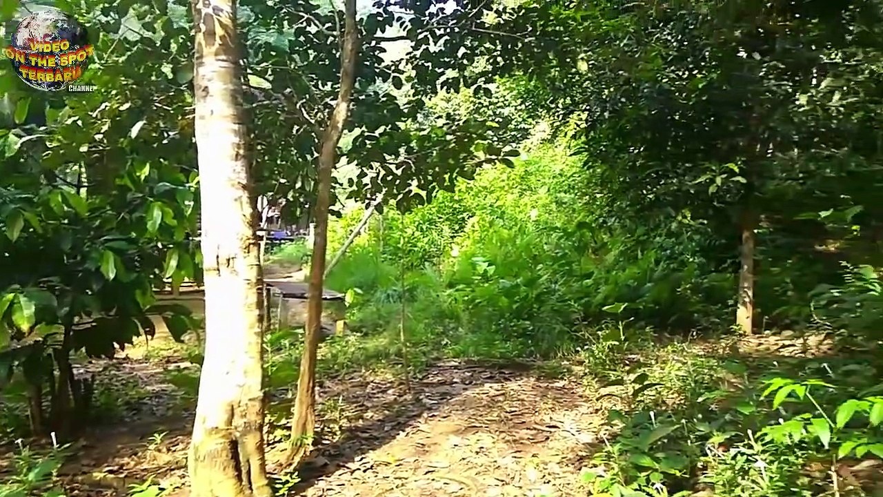 Periksa Gubuk di Pinggir Hutan, Petugas Terkejut Melihat Orang Lakukan Hal ini Didalamnya..