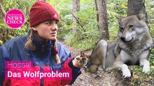 Tereza Hossa auf der Suche nach dem Wolf