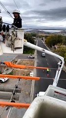 Powerline Workers Discover Bizarre Scene