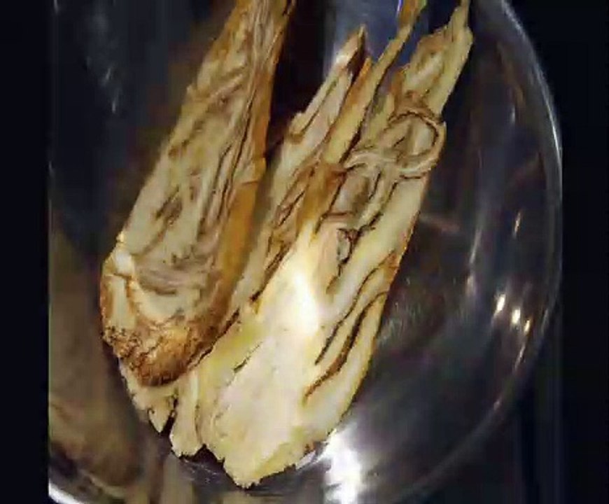 Dong quai ( Angelica sinensis ) serve para ejaculação e menstruação irregular