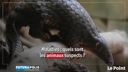 Aurélie Binot : « Il y a des animaux plus suspects que d’autres »