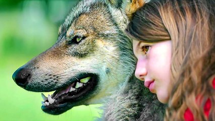 MYSTÈRE Bande Annonce