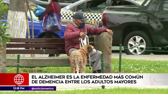 Conoce sobre el alzheimer la enfermedad más común entre adultos mayores | Sanamente Edición Mediodía (HOY)