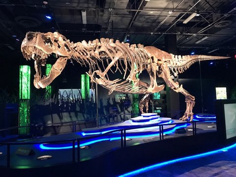 VIRTUAL TOUR! Meet Victoria, the world's largest traveling t rex, here in Arizona - ABC15 Digital