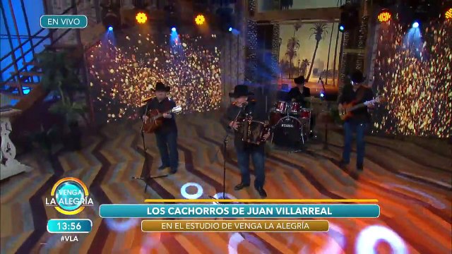¡Los Cachorros de Don Juan Villarreal nos cantaron No logré olvidarte ! | Venga La Alegría