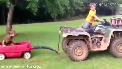 wow no pararas de reir