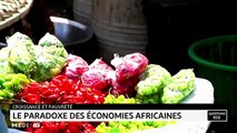 Exploitation minière industrielle en Afrique et positionnement du Maroc - 16/10/2020