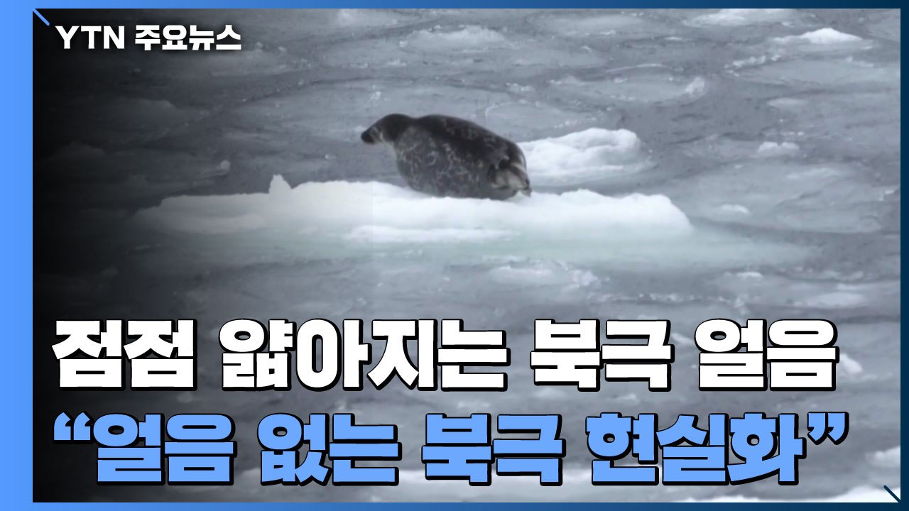 북극 얼음 얇고 취약해져..."얼음 없는 북극 현실화될 것" / YTN