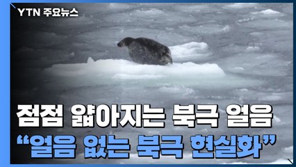 북극 얼음 얇고 취약해져..."얼음 없는 북극 현실화될 것" / YTN