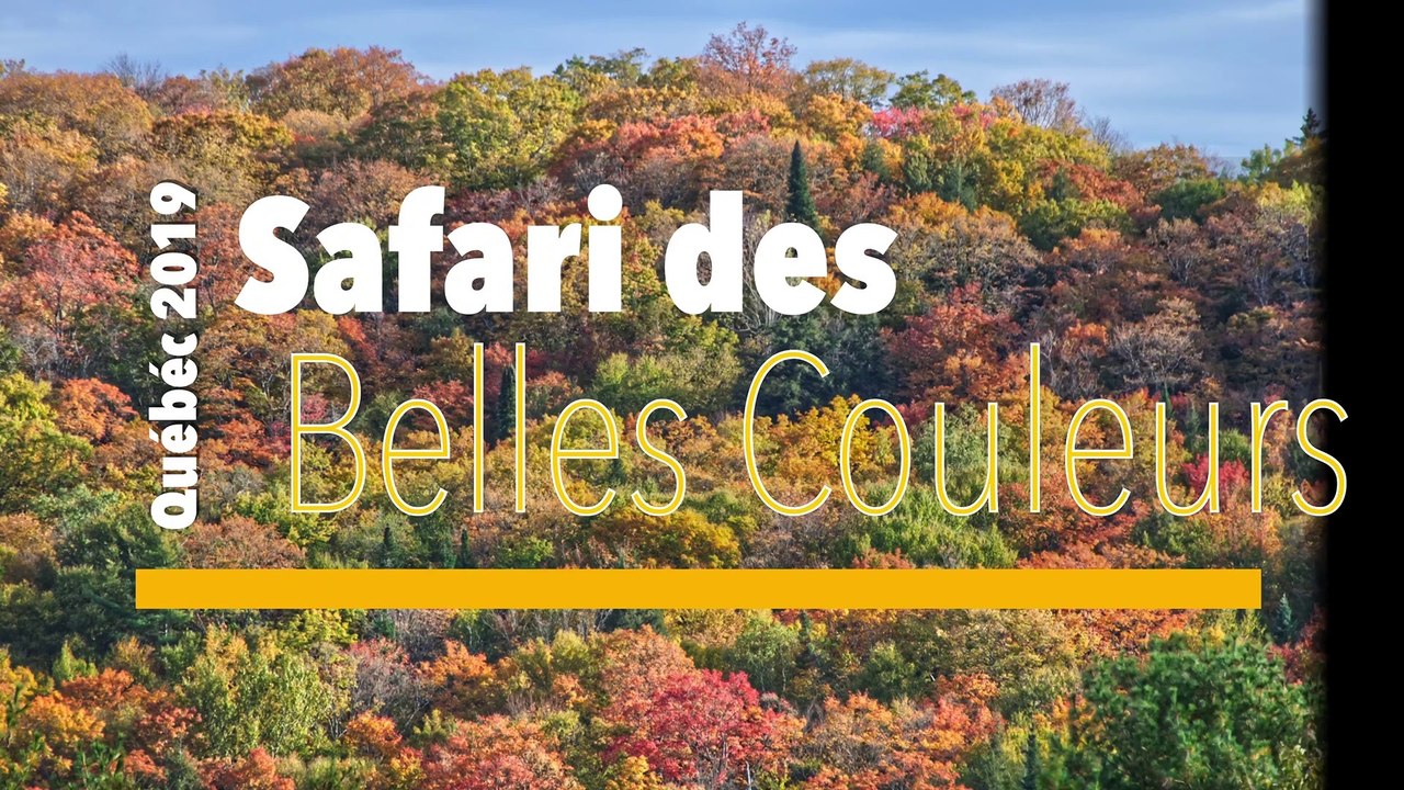 Safari des Belles Couleurs