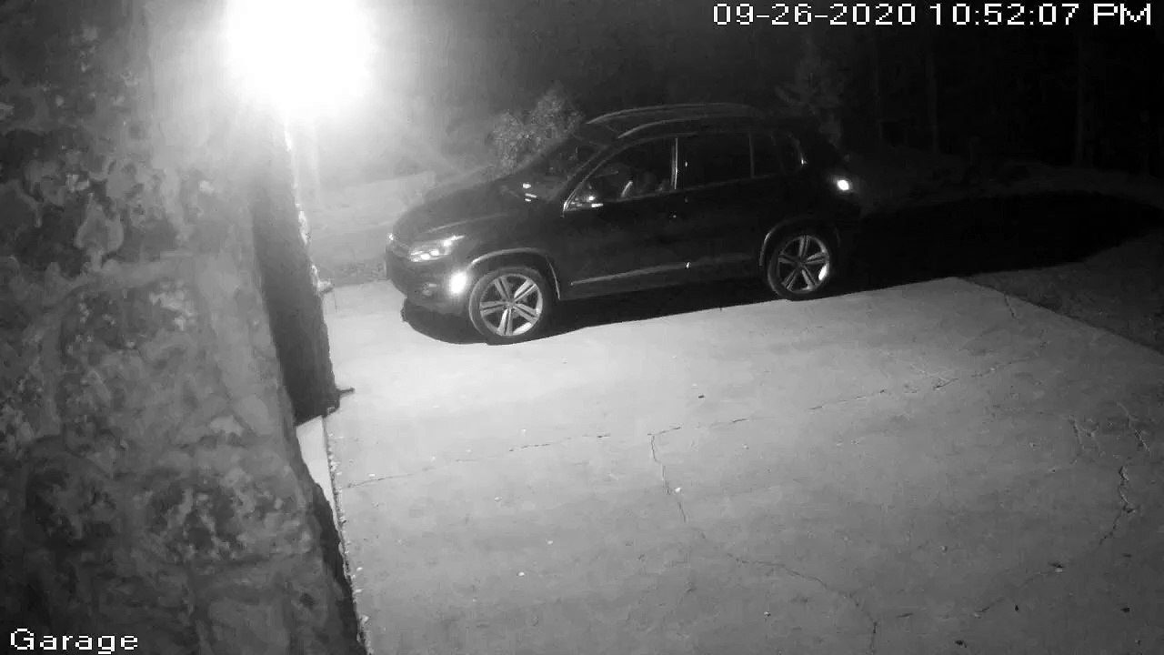 Black Bear Breaking into Car