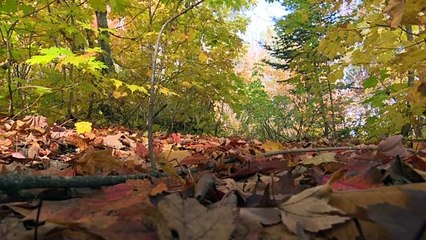 16 Oct-topo, sentier Pont-Landry