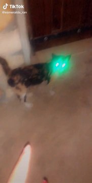 Best Arabic Tik Tok Girls Video 2020 #Egypt #Tunisia #Morocco #Algeria (41)