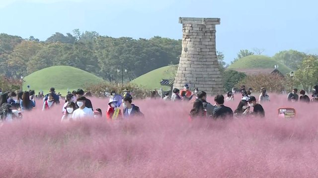 사회적 거리두기 완화 후 첫 주말...경주 찾는 나들이객 '북적' / YTN