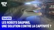 Les robots dauphins, une solution contre la captivité ?