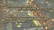 LES PROMENADES DE MICHOU64 W-D.D. - 11 OCTOBRE 2020 - PAU - SUIVEZ MOI POUR UNE PROMENADE DOMINICALE DANS LE QUARTIER TRESPOEY