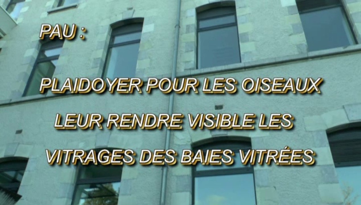 LES SCOOPS DE MICHOU64 W-D.D. - 16 OCTOBRE 2020 - PAU - PLAIDOYER POUR LES OIDEAUX LEUR RENDRE VISIBLE LES  VITRAGES DE L'ÉCOLE DE MUSIQUE ET DE DANSE