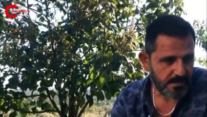 Fatih Portakal o iddialara yanıt verdi