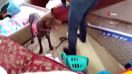 Jandarmaya silah çeken firari zanlı tutuklandı