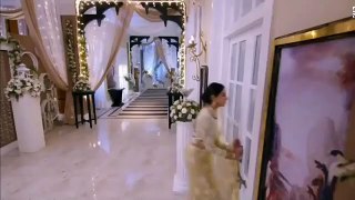 Kundali Bhagya 20 October new promo