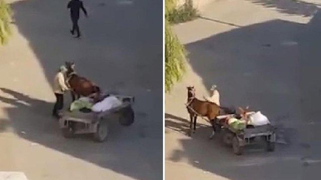 Ata demir çubukla dövdü