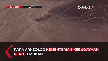 Gambar Kucing Berusia Ribuan Tahun Ditemukan di Lereng Bukit di Nazca Peru