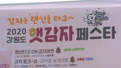 강원도, 오늘부터 이틀간 서울서 햇감자 특판 행사 / YTN