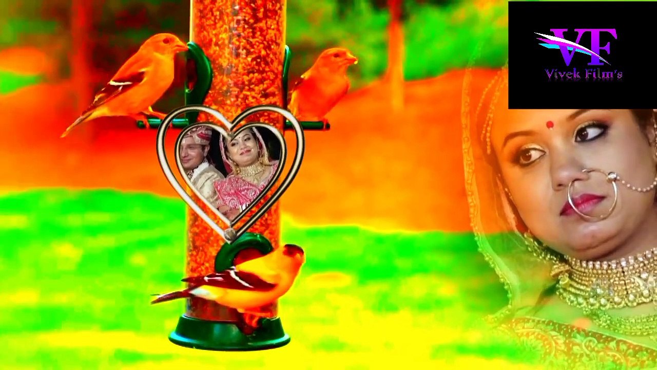 Bangali Song Project || Edius 10/9/8 + After Effect Wedding Project || Premiere Pro Project || Vivek Film ||    #03