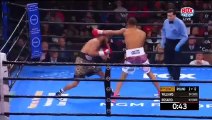 Julian Williams vs Jeison Rosario (18-01-2020) Full Fight
