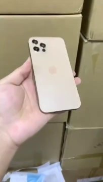 Iphone 12 Pro In Gold Color Hands On Video Video Dailymotion