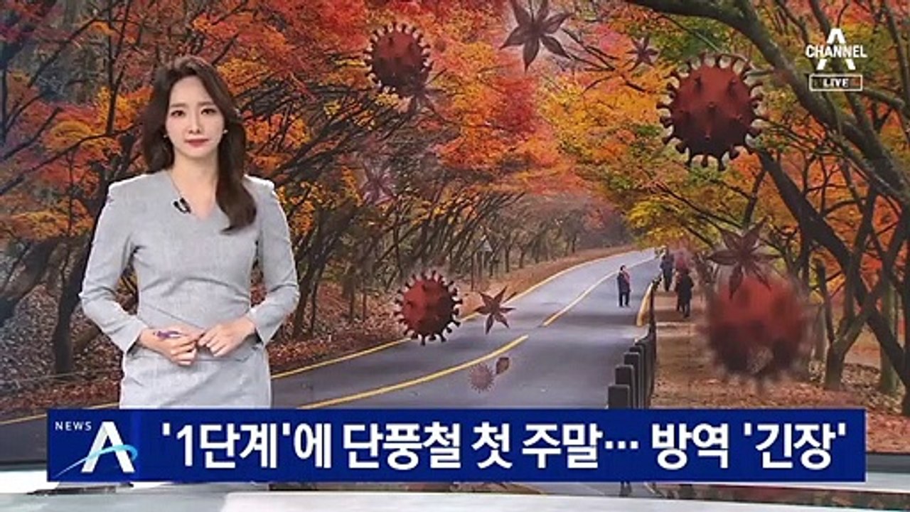 ‘거리두기 1단계’ 첫 주말…단풍 행락객에 방역 ‘긴장’