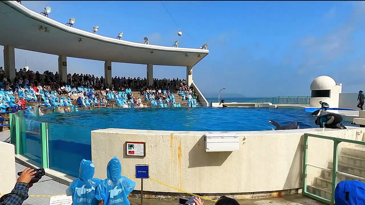 ◆鴨川シーワールド　シャチパフォーマンス（2020．10．11）13：00_ ◆(You Raise Me Up)有り