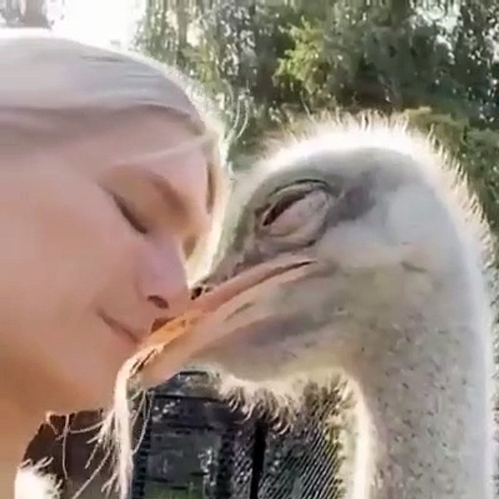 love animals