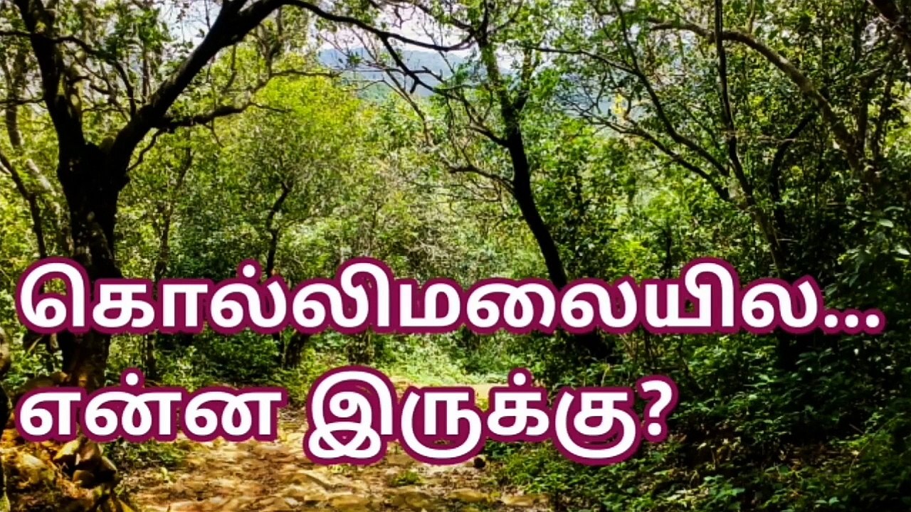 கொல்லிமலையில்... என்ன இருக்கு? Kollimalai
