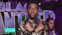 Chadwick Boseman Died Without Having A Will