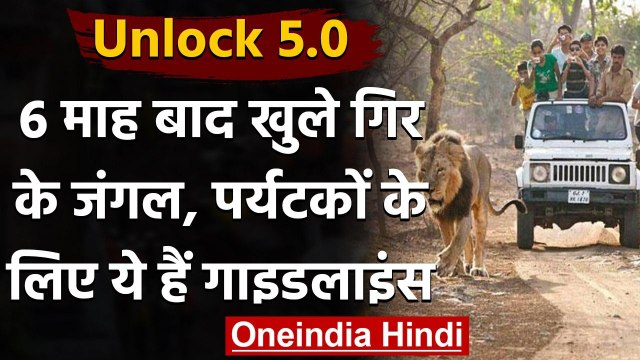Gujarat: 6 महीनों से बंद Gujarat का Gir Forest खुला, शुरू हुई Tourists की आवाजाही । वनइंडिया हिंदी